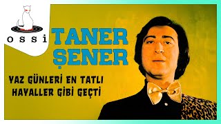 Taner Şener / Yaz Günleri En Tatlı Hayaller Gibi Geçti