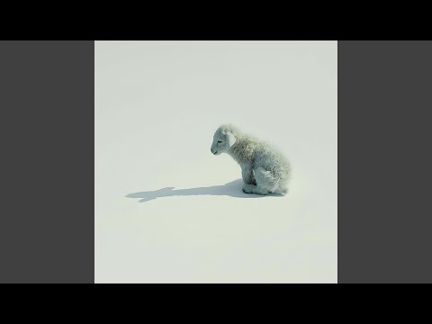 Eles Não Sabem (perdão) - Boanova