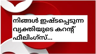 എന്താണ് നിങ്ങളുടെ വ്യക്തിയുടെ ഫീലിംഗ്സ്..&Thoughts 🧿🙏💓