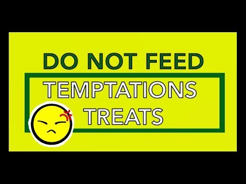 YouTube video about: Can humans eat temptations cat treats?