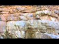 Cliff Jumping By J D