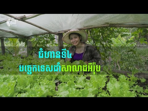 download lagu mp3 mp4 Red Batavia Lettuce, download lagu Red Batavia Lettuce gratis, unduh video klip Red Batavia Lettuce