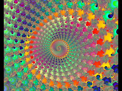 day by day Holly Sherwood