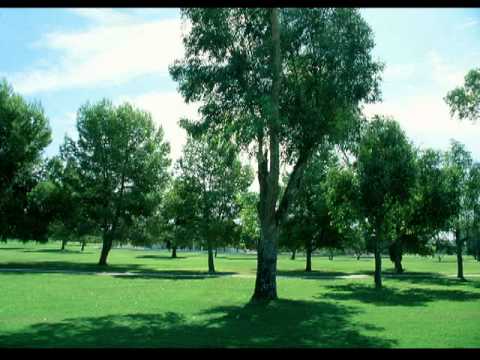 Colind Grup Betleem Bivolarie - Haideti sa cantam-