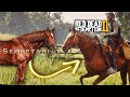 GETTING LEGENDARY RACEHORSES IN RDR2 Modded Gameplay