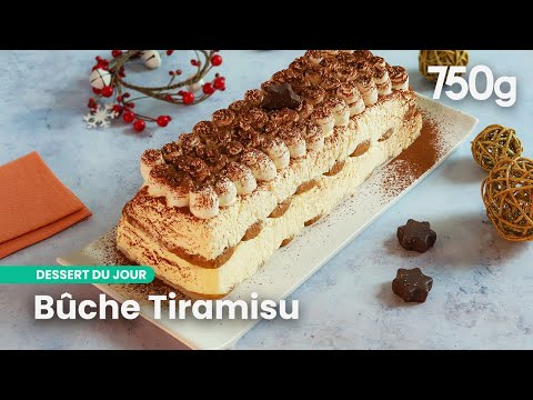 Christmas tiramisu Yule log