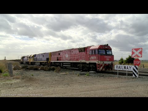 3PM4 Steel Wagons & Shipping Containers (12/2/2021) - PoathTV Australian Trains & Railways