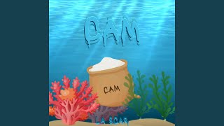 CAM