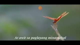 Download lagu NET25 Lupang Hinirang 2007 mp3