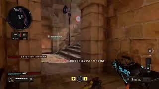 ［COD BO4]eスポ声無し