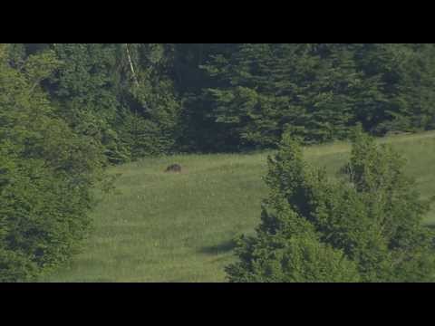 The European Nature Trust - Romania The Last Great Wilderness in Europe