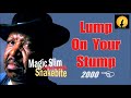 Magic Slim & The Teardrops - Lump On Your Stump (Kostas A~171)