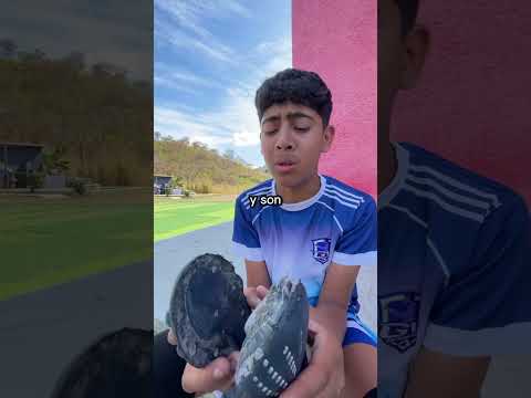 Dos vidas..#futbol #tips #professor #soccer #tecnica #clases #deporte #play #datos #sport #fut #fe