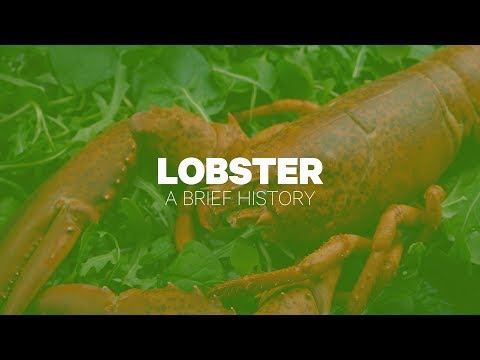 Seafood and Steaks at Lobster Trap Restaurant (Up to 40% Off) - Second Medium