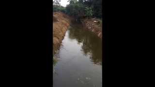 preview picture of video 'Tattamangalam Canal'