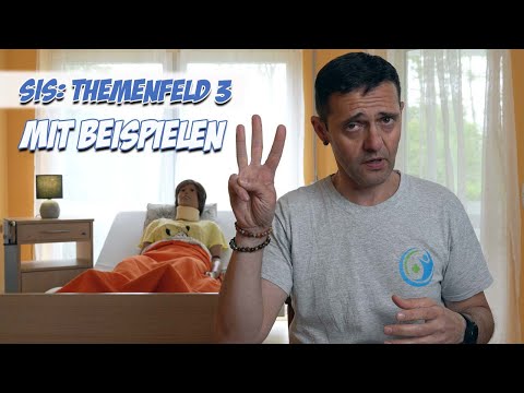 SIS: Themenfeld 3 mit Beispielen | Pflege Modelle | Pflege Kanal