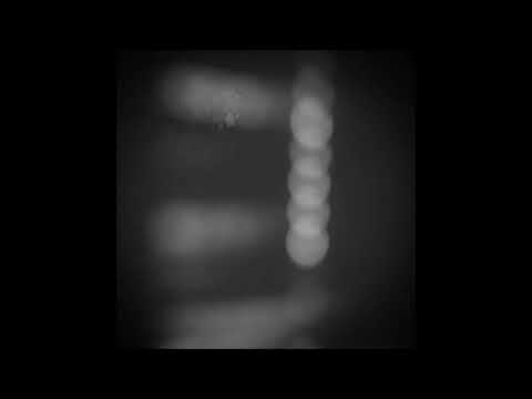 02. Forested - falling into depression