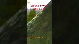 『タルコフ』追い込みの末