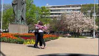 "ZORRO GRIS" en el Día de la Danza en Sofía, por Juana Garcia y Julio Robles