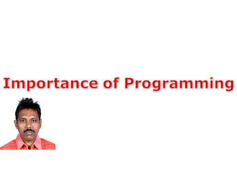 Importance of Programming Programming Knowledge for Software Testers