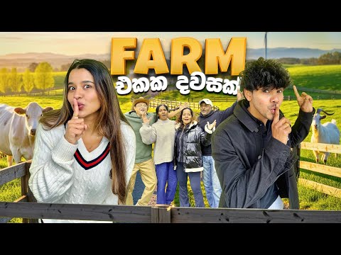 We Lived In A Farm for the First Time 🌾😍 | Family Farm Stay Surprise | Yash & Hass