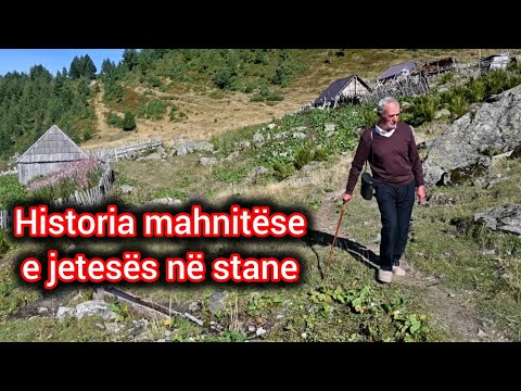 “Bjeshka më sheron zemrën”, historia e 85-vjeçarit që jeton 3 muaj në stane