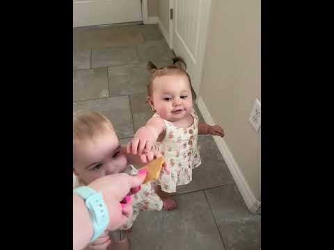 Twin Grabs Cookie Offered to Her Sister - 1432352