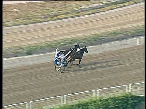 Trotto 15/06/2017 - 3ª prova di qualifica