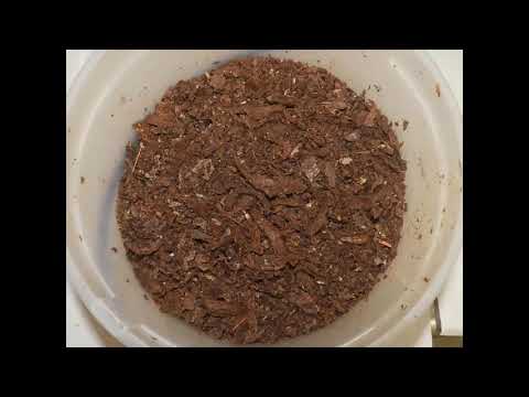 Propolis, from the Hive to the Bottle