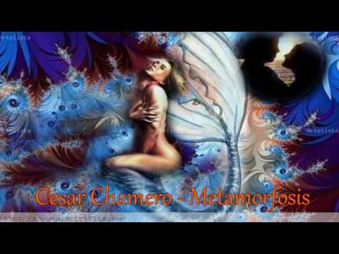 Cesar Chamero - Metamorfosis (22-01-2007)