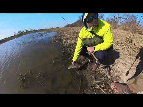 Pesca al Golpe con mosca en la Paz Entre Rios  #SEÑUELOS  #FISHING