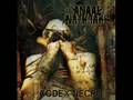 Anaal Nathrakh - When Humanity Is Cancer