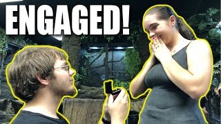 THEY GOT ENGAGED AT THE REPTILE ZOO!! | BRIAN BARCZYK
