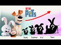 The Secret Life of Pets Growing Up Compilation | Cartoon Wow