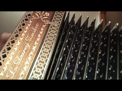 Chodil do nás Heligonka Cis Fis 