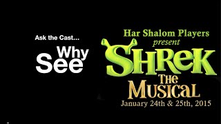 Why See Shrek The Musical