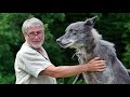 DIE RÜCKKEHR DER WÖLFE Trailer Deutsch German HD