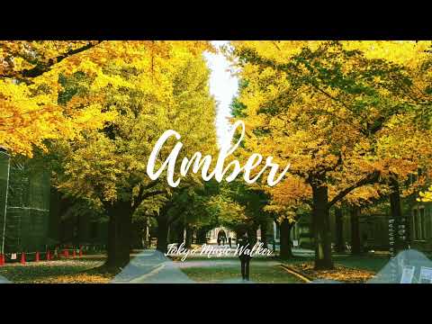 Tokyo Music Walker - Amber
