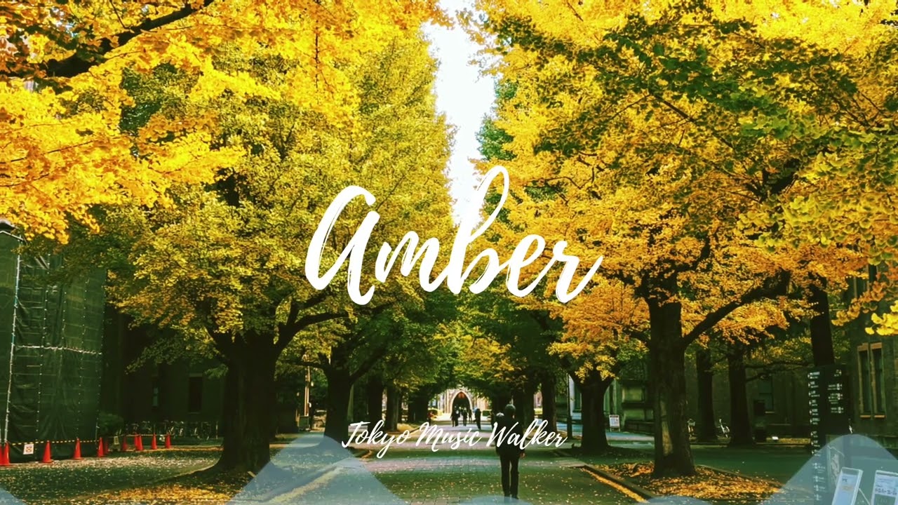 Tokyo Music Walker - Amber