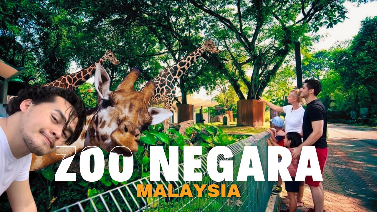 Experience an exciting virtual tour of Zoo Negara, Kuala Lumpur in this video!