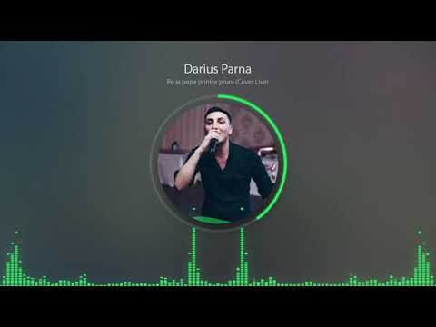 Darius Parna - Live - Pe la popa printre pruni [Audio]
