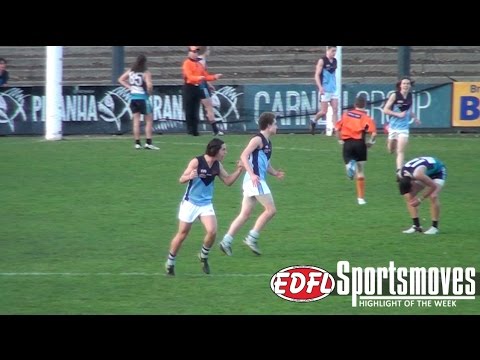 EDFL Web TV | Rounds 17-18, 2016 (Includes U16 Division 1 Grand Final Highlights)