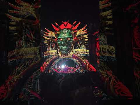 Baoba Festival - Freedom Fighters