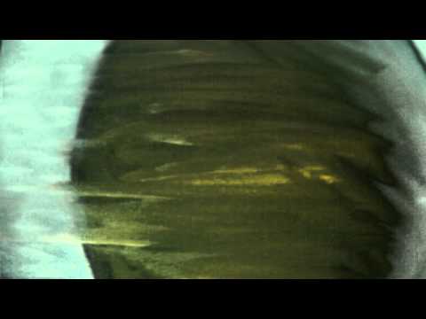 Thelma Blankenship - Pilotfish