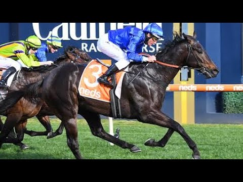 2021 VAIN STAKES (G3) | INGRATIATING | CAULFIELD, AUSTRALIA |