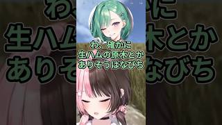 【 VCR RUST 】 今日はフルタイムでいくぞ【ぶいすぽっ！/橘ひなの】 #ぶいすぽ #vtuber #vspo #切り抜き #橘ひなの #蝶屋はなび #vcrrust