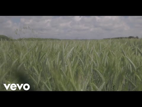 Zvonko Bogdan - Oj Jelo, Jeleno