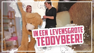 In een LEVENSGROTE TEDDYBEER!