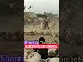 Gadar 2 Fight Scene Shooting Sunny Deol Gadar2 Sunnydeol Shorts