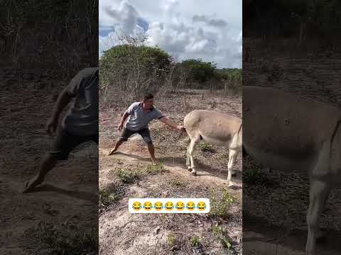 O menino de vó vai deixar vovó (status)